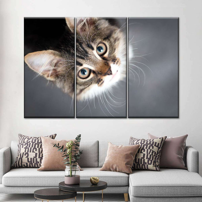 ElephantStock A Cat Wall Art