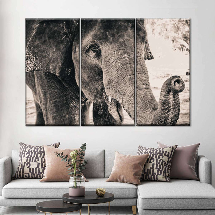 ElephantStock Elephant Up Close Wall Art