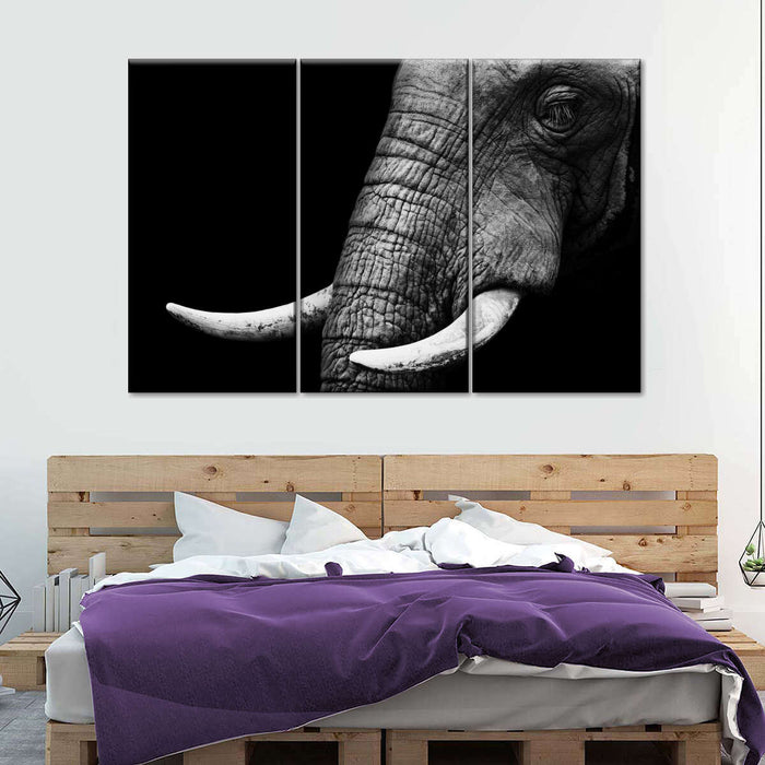 ElephantStock Elephant Close Up Wall Art