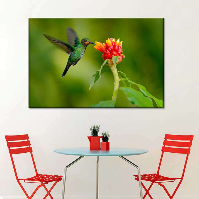 ElephantStock Flower And Green Hummingbird Wall Art