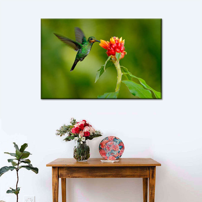 ElephantStock Flower And Green Hummingbird Wall Art