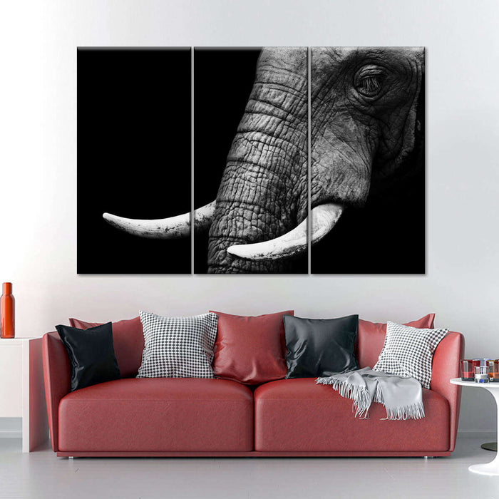 ElephantStock Elephant Close Up Wall Art