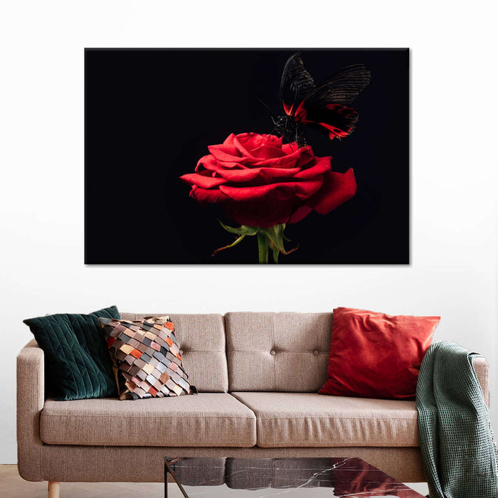 ElephantStock Butterfly Kissing The Rose Wall Art