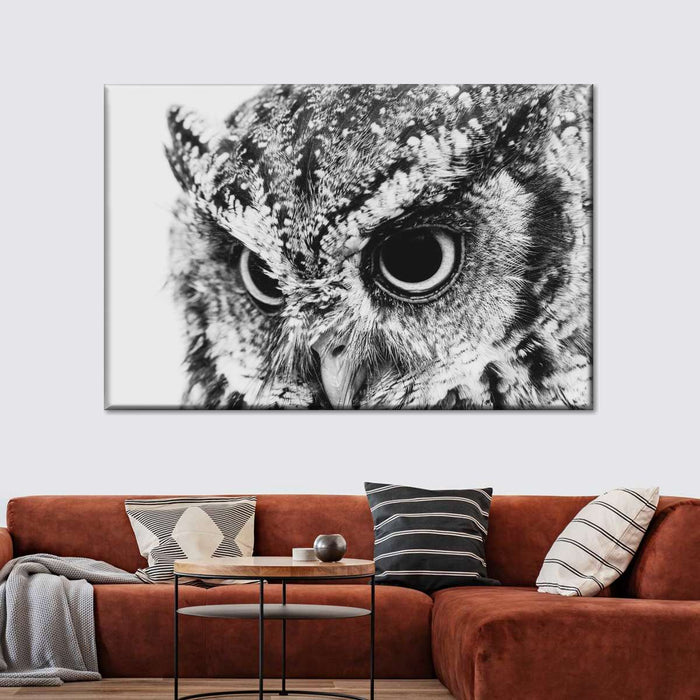 ElephantStock Staring Owl Wall Art