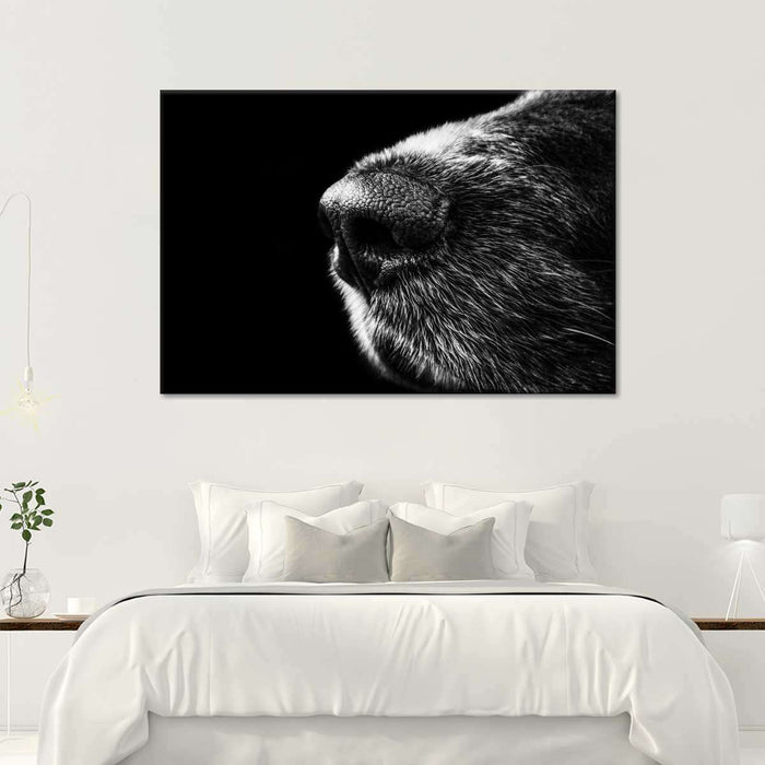 ElephantStock Dog's Nose Wall Art