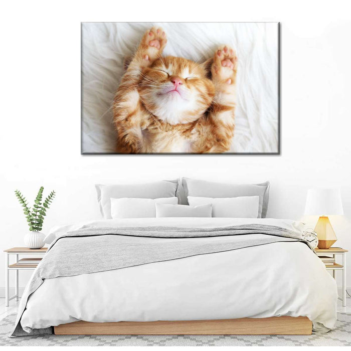 ElephantStock Sleepy Kitty Wall Art