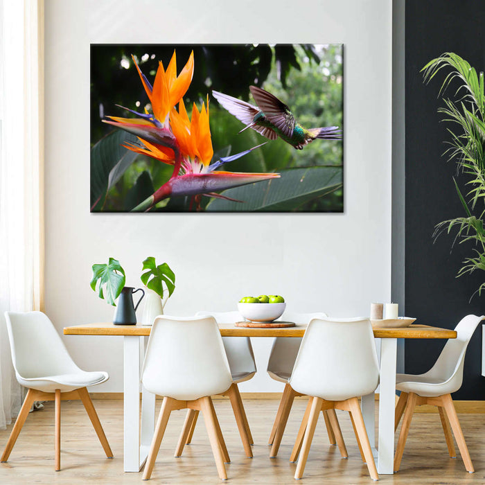 ElephantStock Flying Hummingbird Wall Art