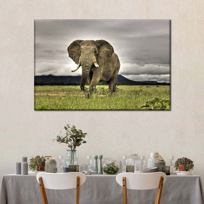 ElephantStock Elephant Landscape Wall Art