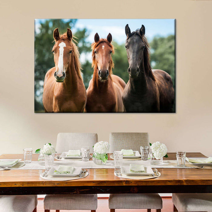 ElephantStock Young Horses Wall Art