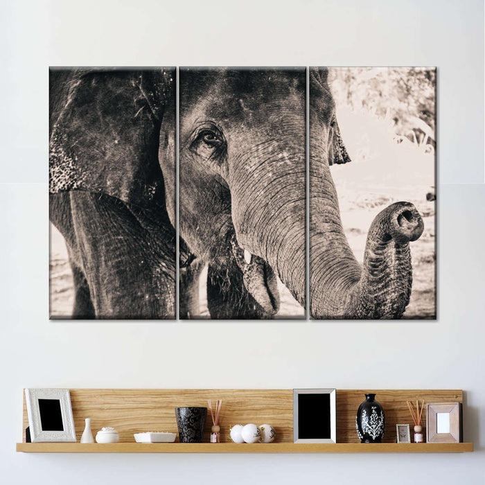 ElephantStock Elephant Up Close Wall Art