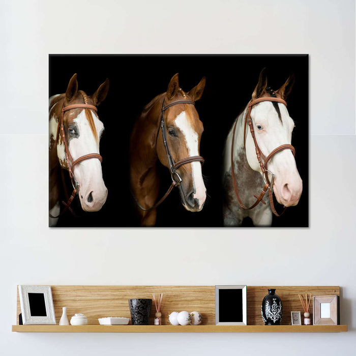 ElephantStock American Paint Horses Wall Art