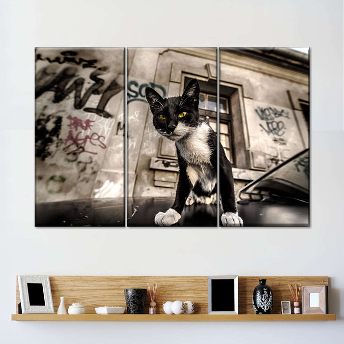 ElephantStock Alley Cat Wall Art