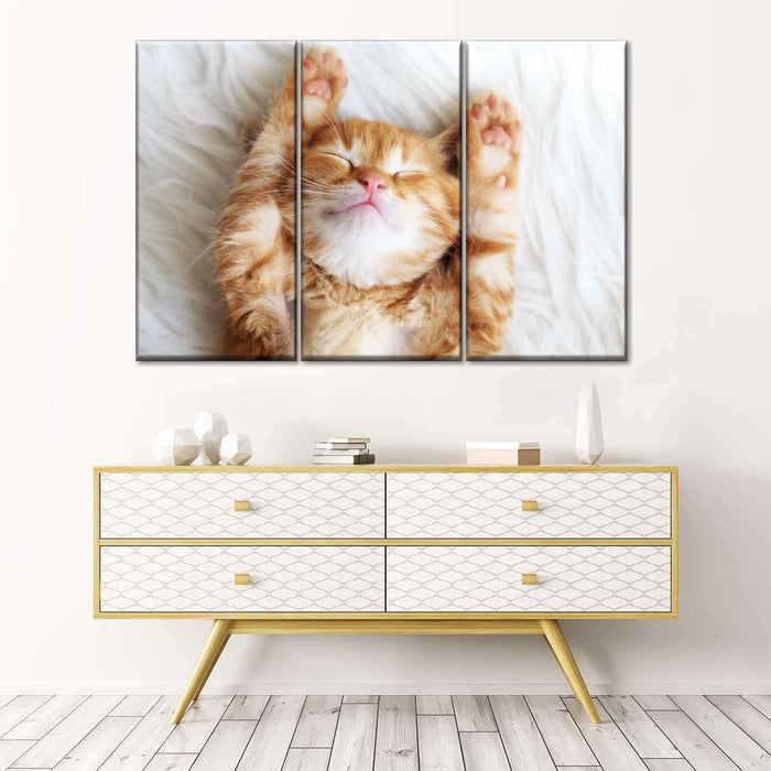 ElephantStock Sleepy Kitty Wall Art