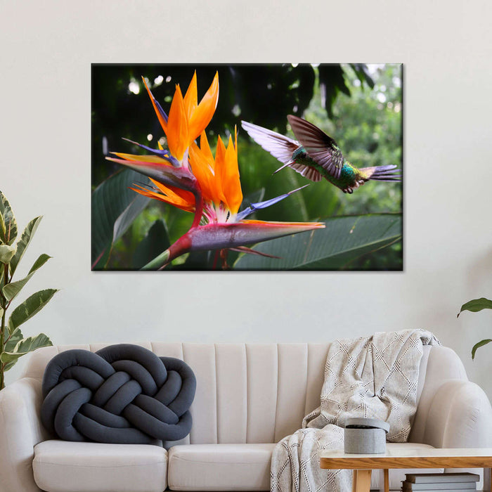 ElephantStock Flying Hummingbird Wall Art