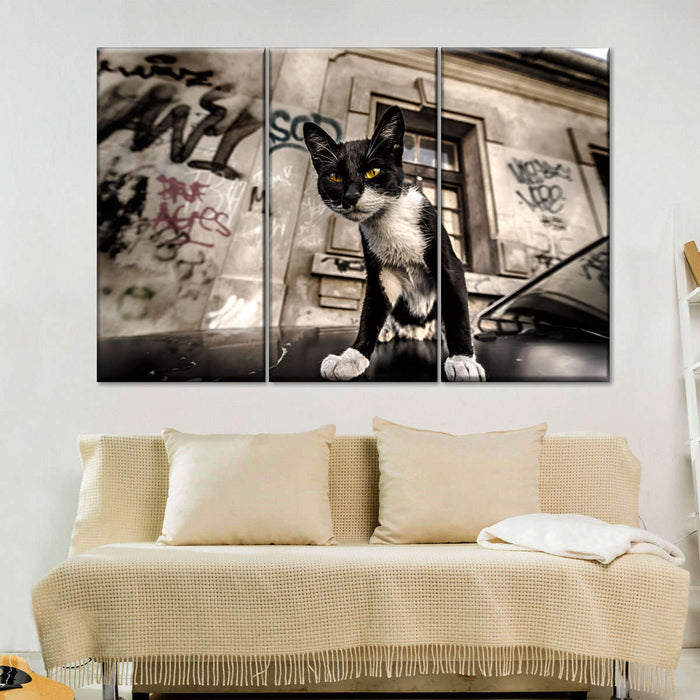 ElephantStock Alley Cat Wall Art