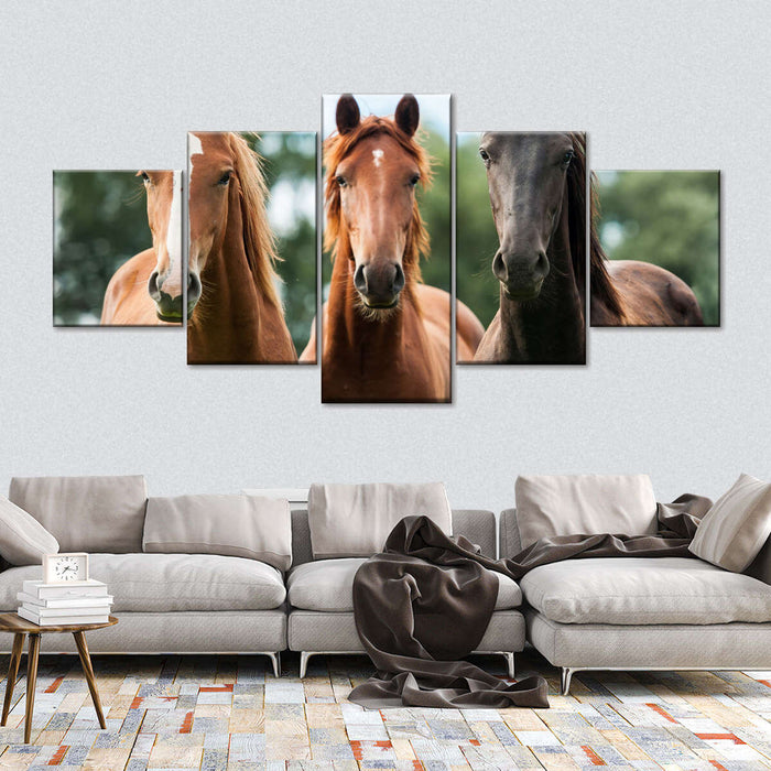 ElephantStock Young Horses Wall Art