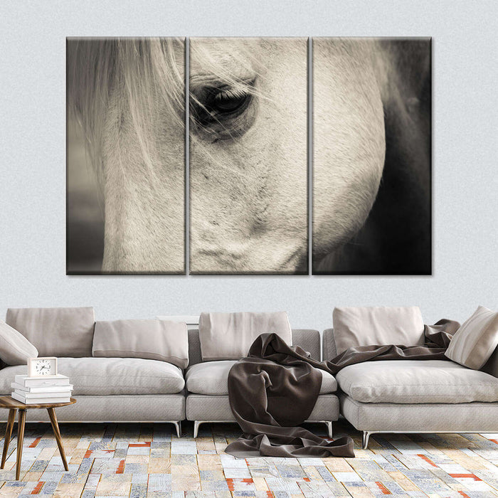 ElephantStock White Horse Eye Wall Art