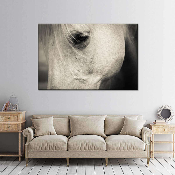 ElephantStock White Horse Eye Wall Art