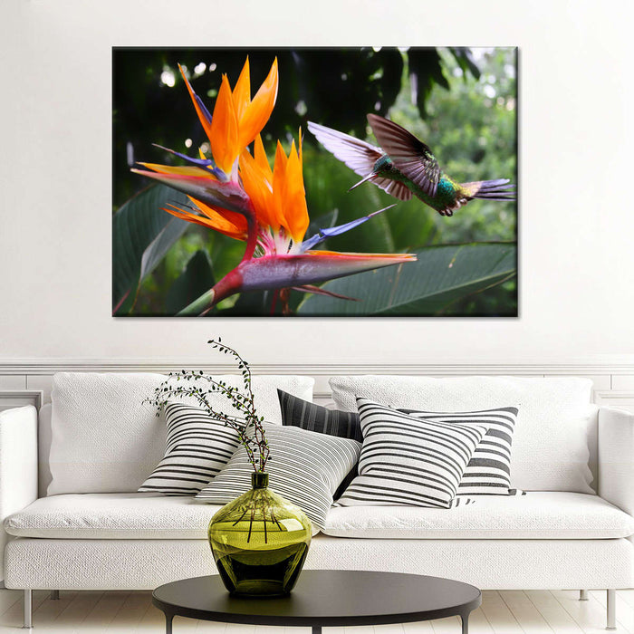 ElephantStock Flying Hummingbird Wall Art