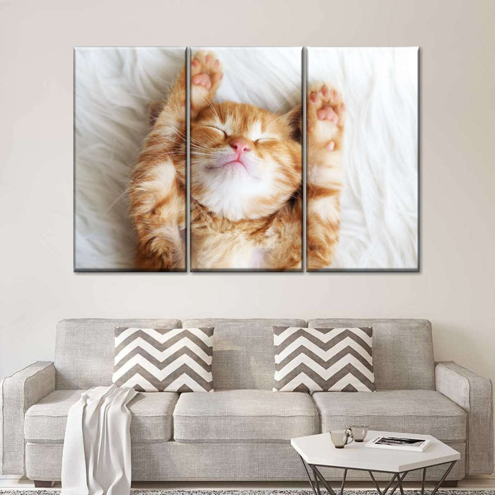 ElephantStock Sleepy Kitty Wall Art