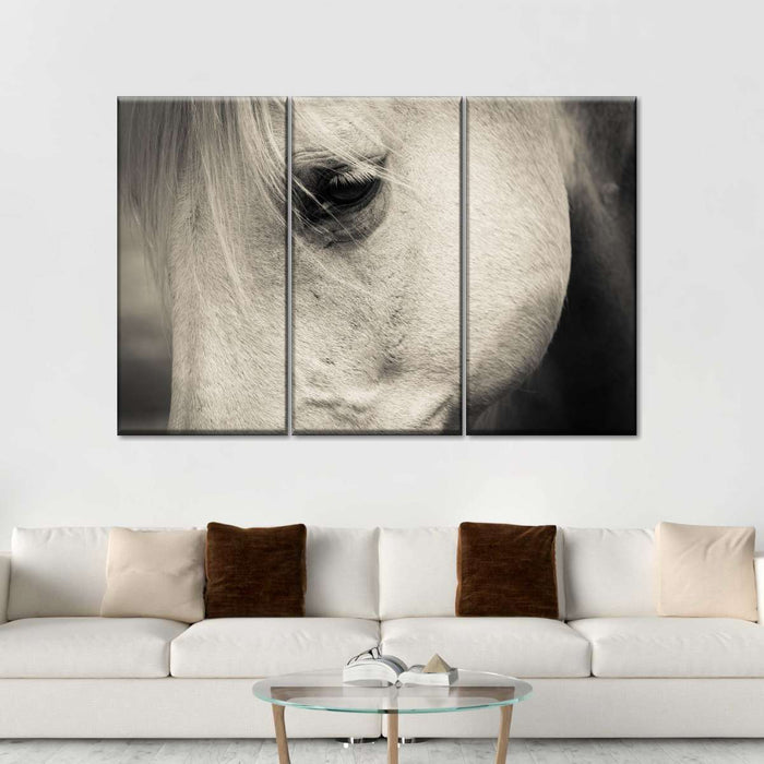 ElephantStock White Horse Eye Wall Art