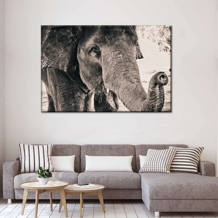 ElephantStock Elephant Up Close Wall Art