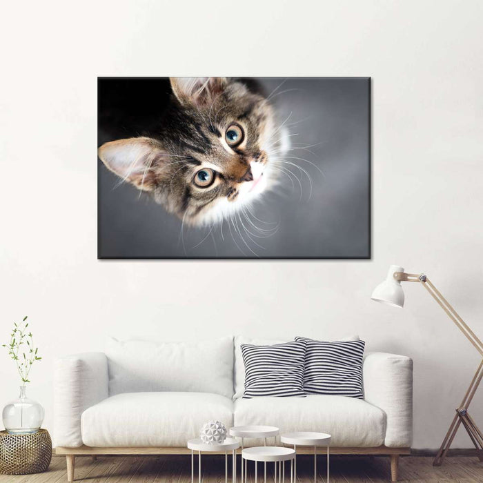 ElephantStock A Cat Wall Art