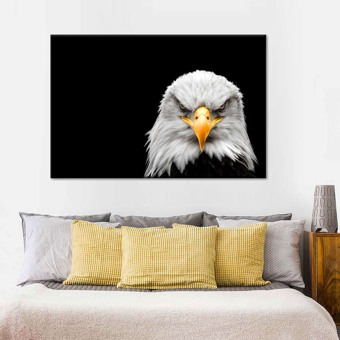 ElephantStock Angry Bald Eagle Wall Art