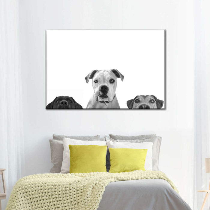 ElephantStock Curious Dogs Wall Art