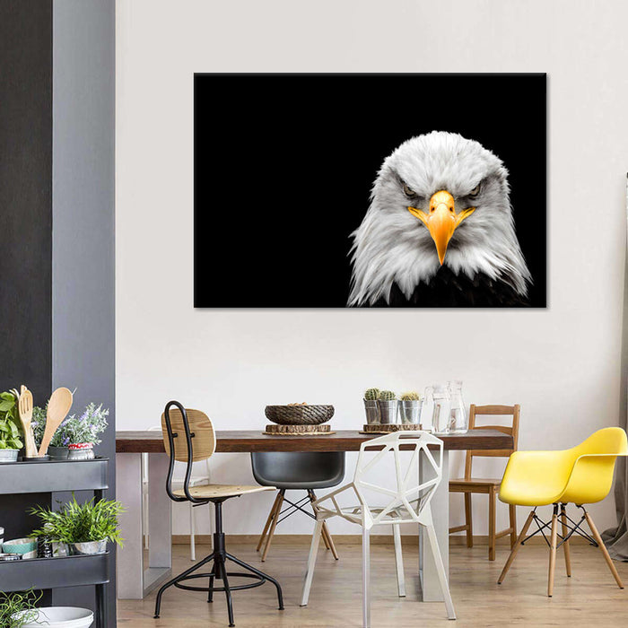 ElephantStock Angry Bald Eagle Wall Art