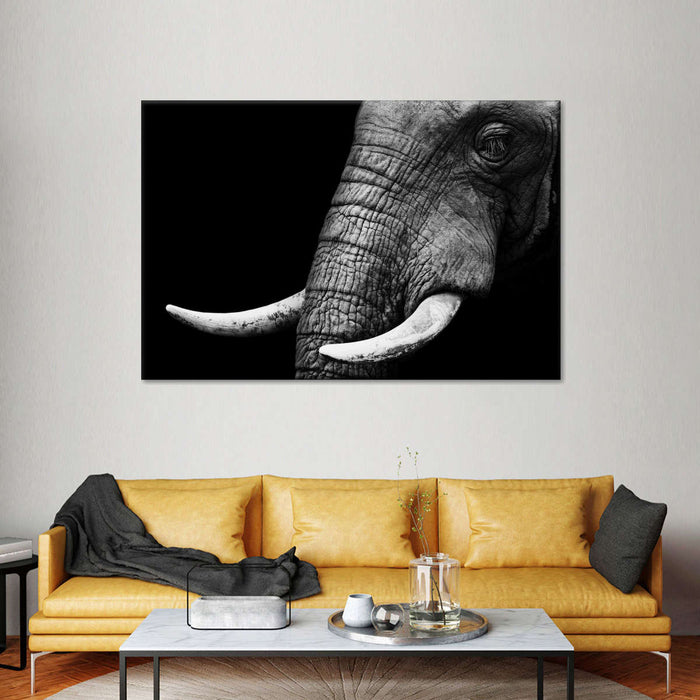 ElephantStock Elephant Close Up Wall Art