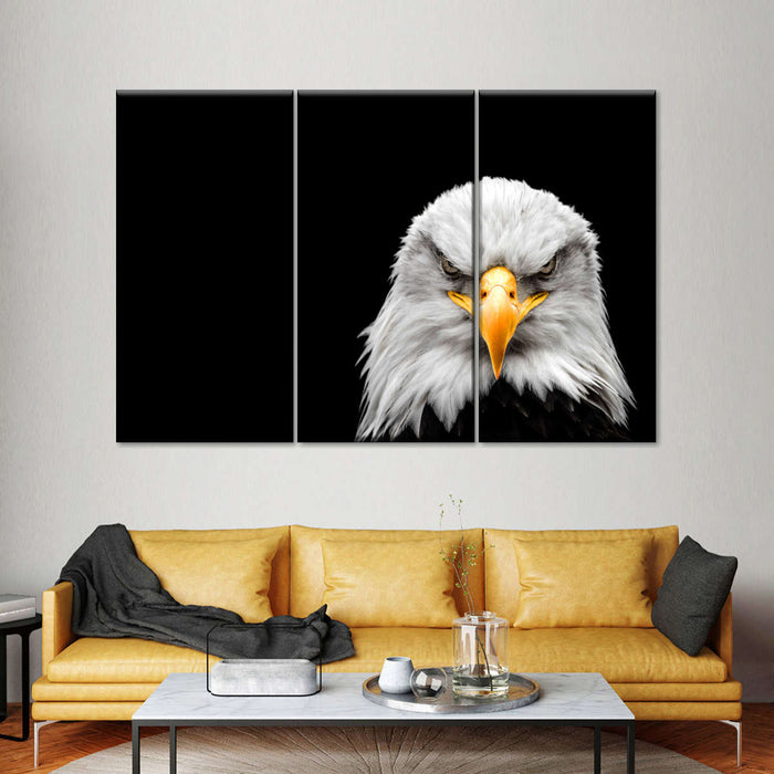 ElephantStock Angry Bald Eagle Wall Art