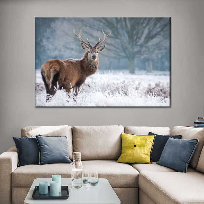 ElephantStock Deer Stare Wall Art