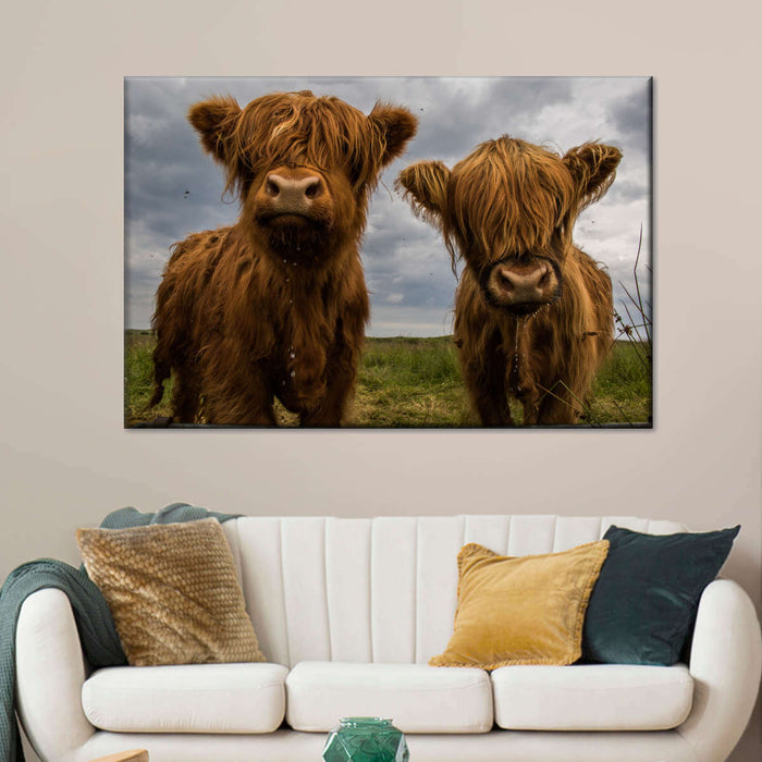 ElephantStock Baby Highland Cows Wall Art