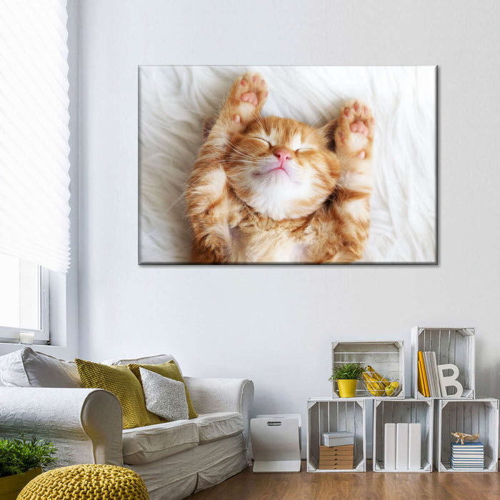 ElephantStock Sleepy Kitty Wall Art