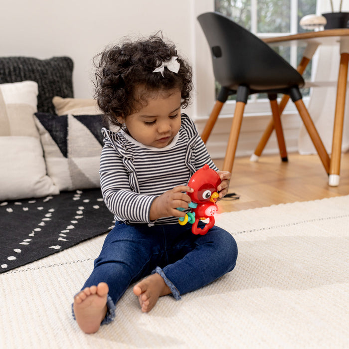 Baby Einstein Roxy'S Bright Flight™ Musical Toy