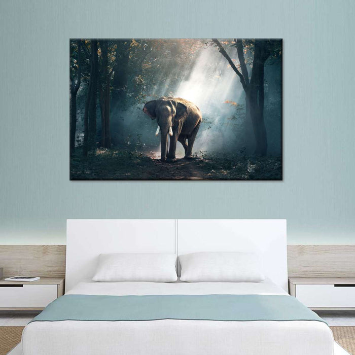 ElephantStock African Forest Elephant Wall Art