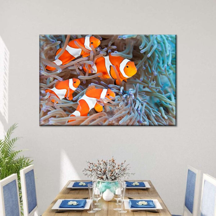 ElephantStock Clown Fish Wall Art