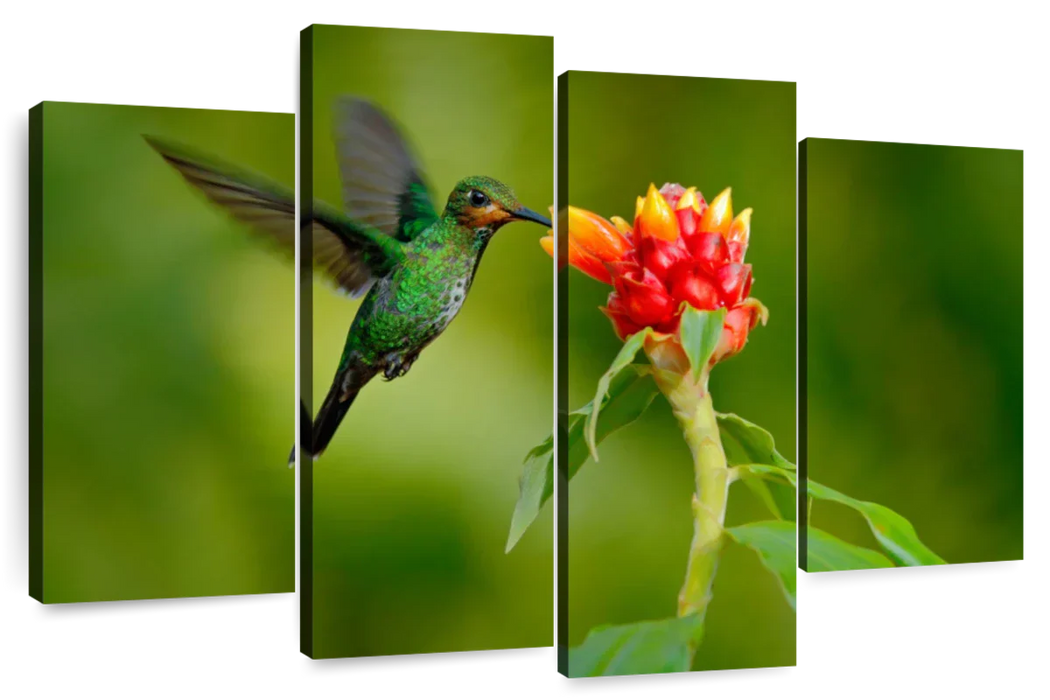 ElephantStock Flower And Green Hummingbird Wall Art