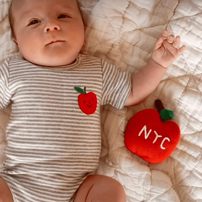 Estella Organic Baby Toys - Newborn Rattles | NYC Apple