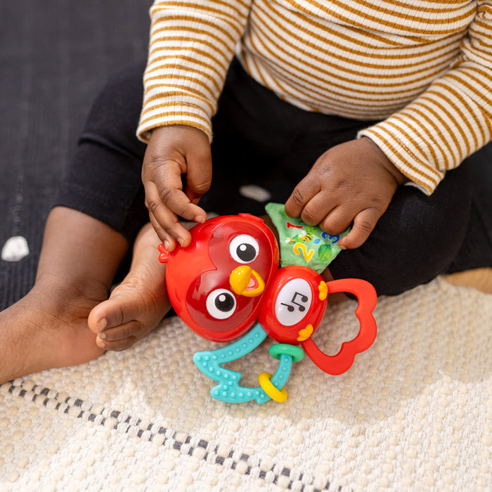 Baby Einstein Roxy'S Bright Flight™ Musical Toy