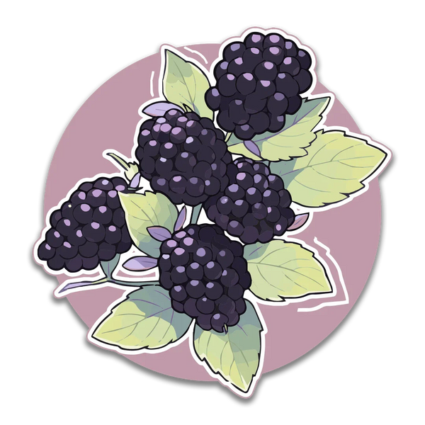 Stick With Finn Blackberries Sticker