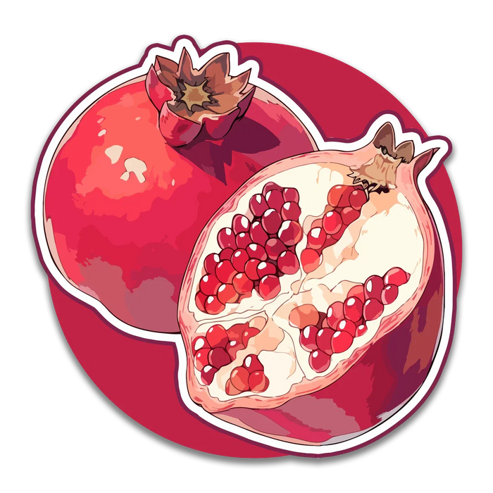 Stick With Finn Pomegranate Sticker