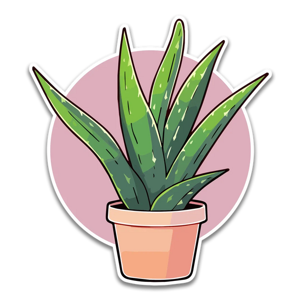 Stick With Finn Aloe Plant Sticker