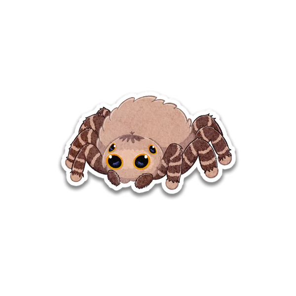 Stick With Finn Jumping Spider Sticker