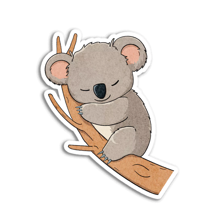 Stick With Finn Koala Bear Sticker