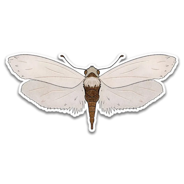 Stick With Finn Yucca Moth Sticker