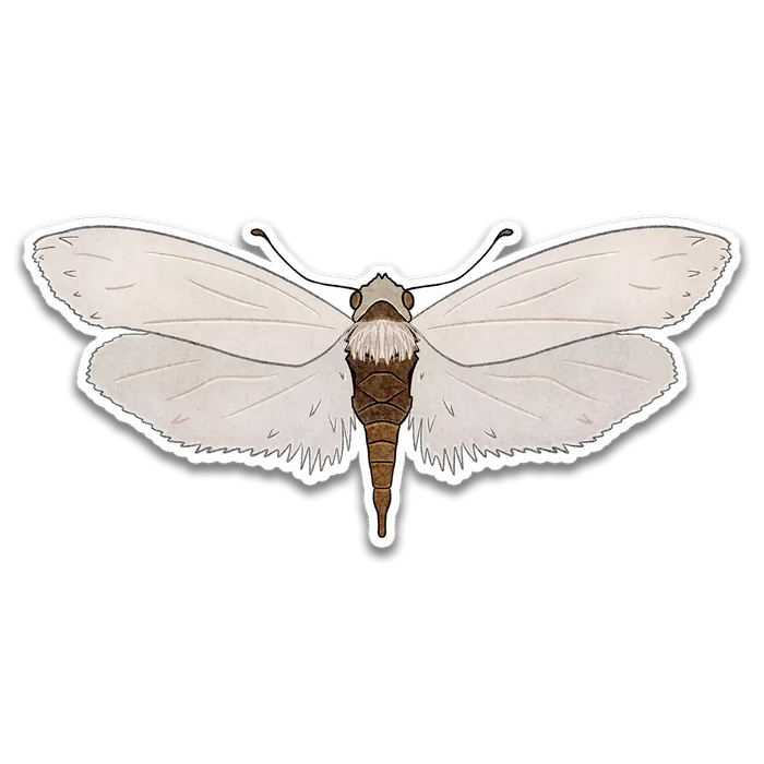 Stick With Finn Yucca Moth Sticker