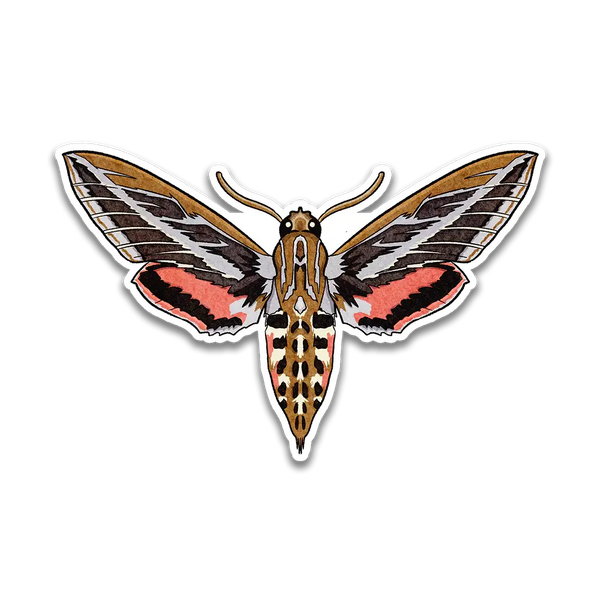 Stick With Finn White-Lined Sphinx Moth Sticker