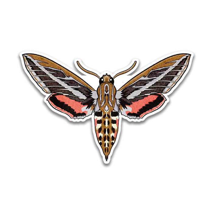 Stick With Finn White-Lined Sphinx Moth Sticker